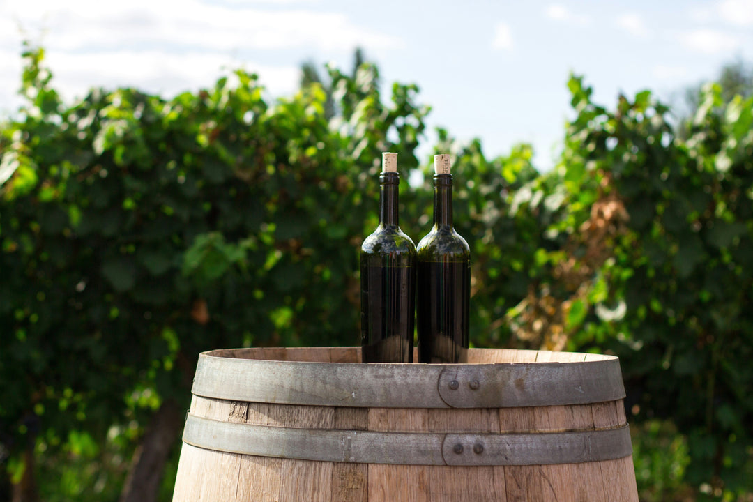 Wein selbst herstellen - Schritt für Schritt Anleitung