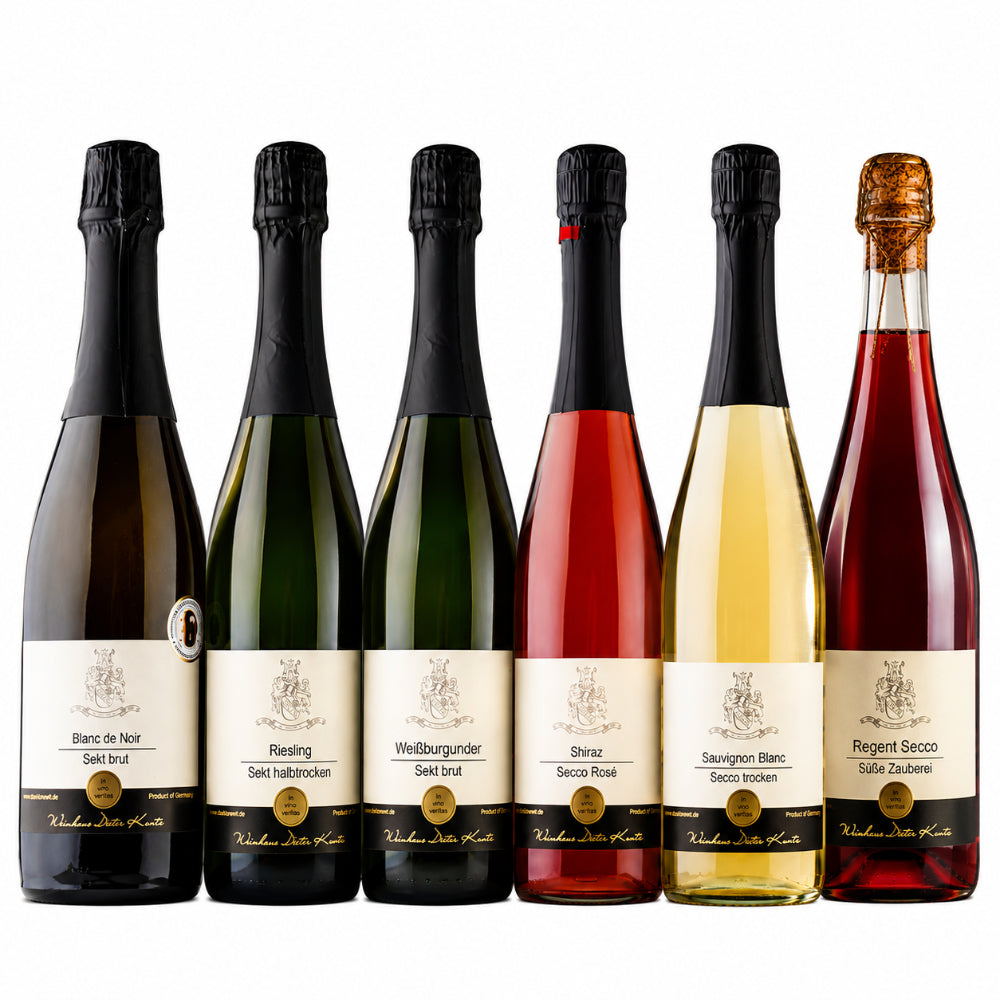 Sekt und Secco Probepaket 6 Flaschen 