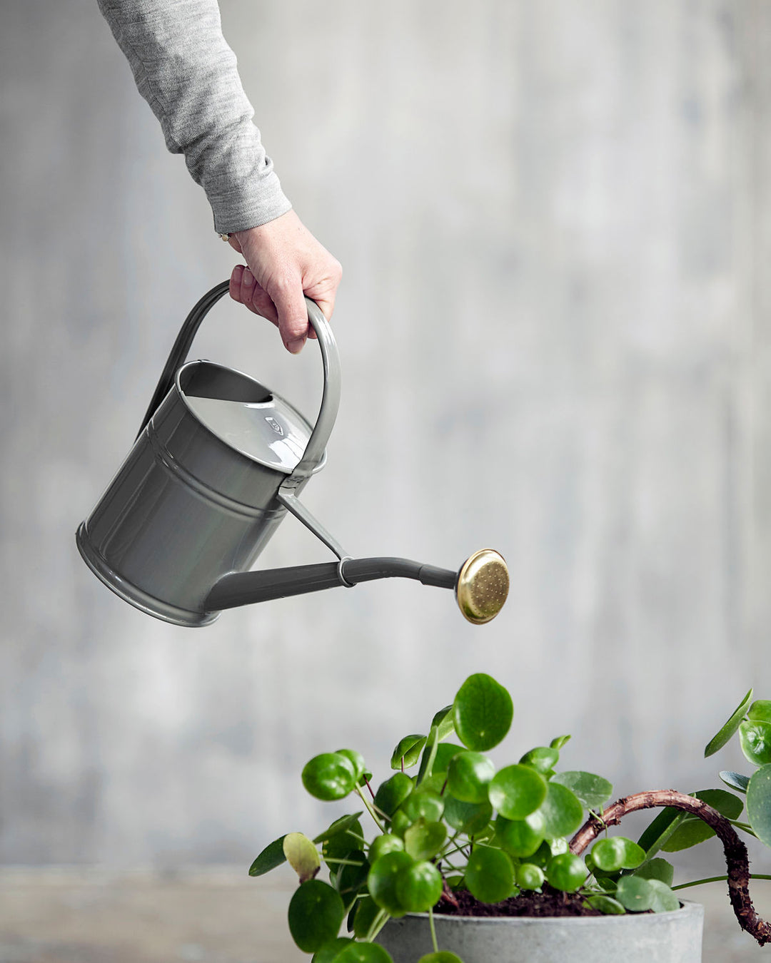 House Doctor - Gießkanne grau 2l - Water